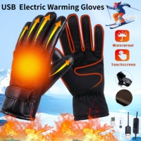 USB Heated Gloves Hand Warmer Electric Thermal Gloves Waterproof Snowboard Cycling Motorcycle Bicycle Ski Outdoor Winter Gloves