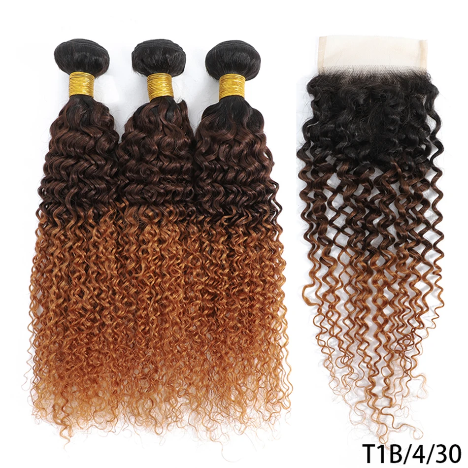 DreamDiana 9A Malaysian Kinky Curly Bundles With Closure Remy Ombre Afro Curly Hair With Closure 100% Human Hair With Closure