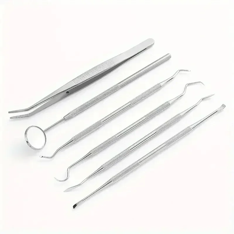 6Pcs Stainless Steel Dental Oral Care Kit - Tartar Removal Flossing Tools Easy Clean & Break-Resistant Dentist Grade Mirror