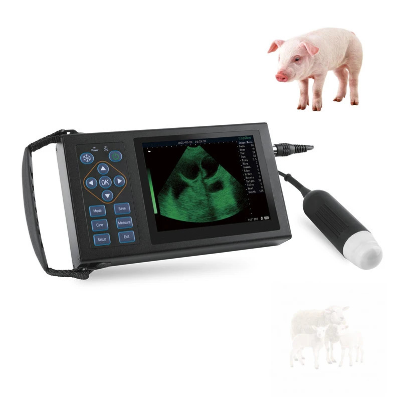 

Veterinary Ultrasound Diagnostic Instrument Cheap Portable Handheld Easy Scan Animal Vet Scanner Machine