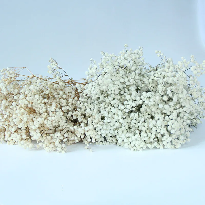 Dried Flower White Gypsophila Wedding Decoration Bouquet Real Flore For Living Room Decor 50g/lot and 100g/lot Free Shopping