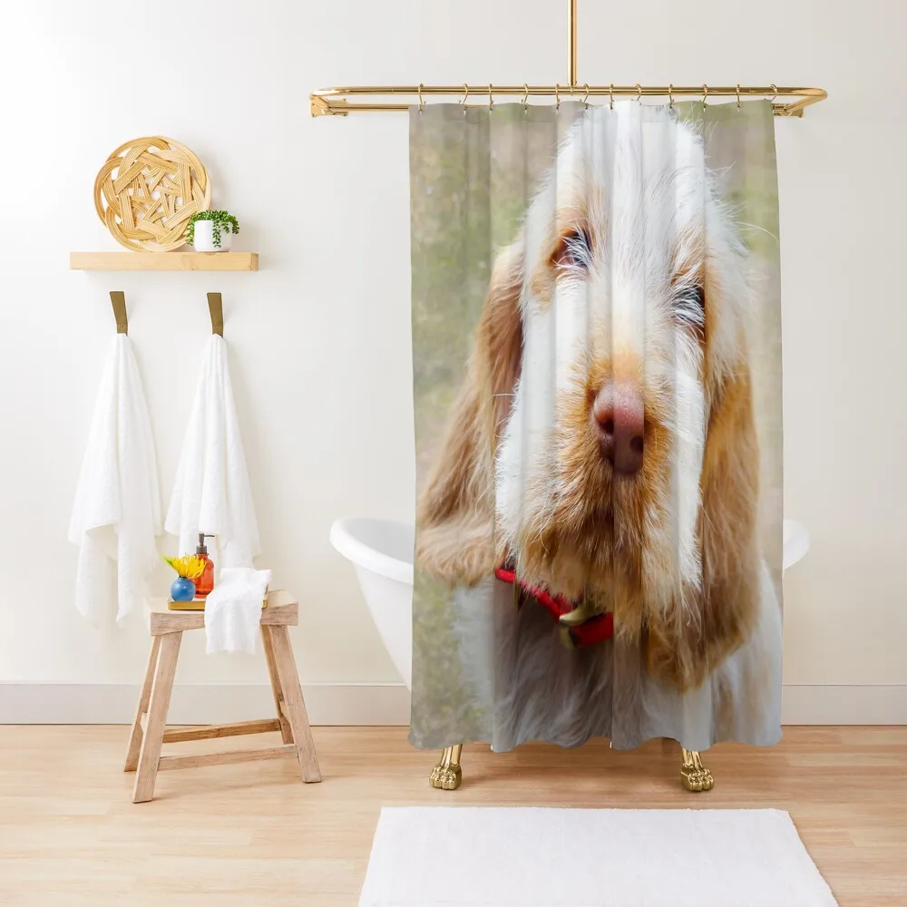 

Lifetime of love Spinone puppy Shower Curtain Bathroom Accessorys Luxury Bathroom Anime Bathroom Curtain