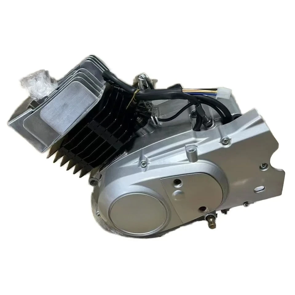 Customized 100cc Lifan AX100 Engine Kit for Bike Cross Electric & Kick Start 2 Stroke Motor for Triumph Motorcycles
