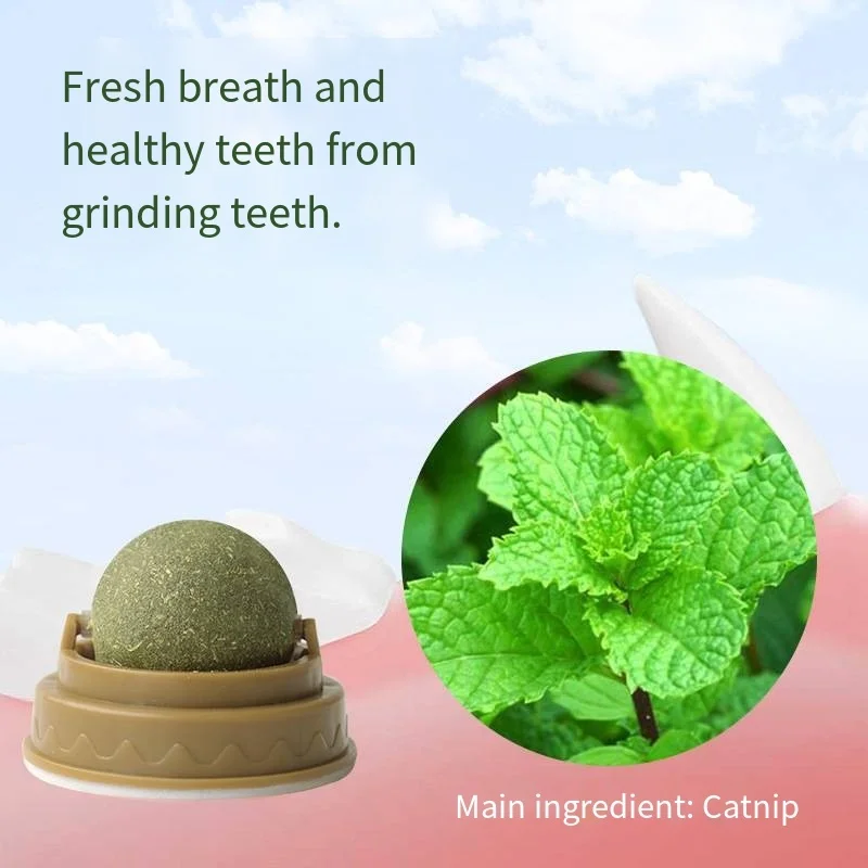 1-2 قطعة القط الجدار عصا على الكرة لعبة المولي الأسنان النعناع البري وجبة خفيفة الكرة يزيل كرات الشعر تعزيز الهضم مع غطاء غبار منتجات الحيوانات الأليفة #6