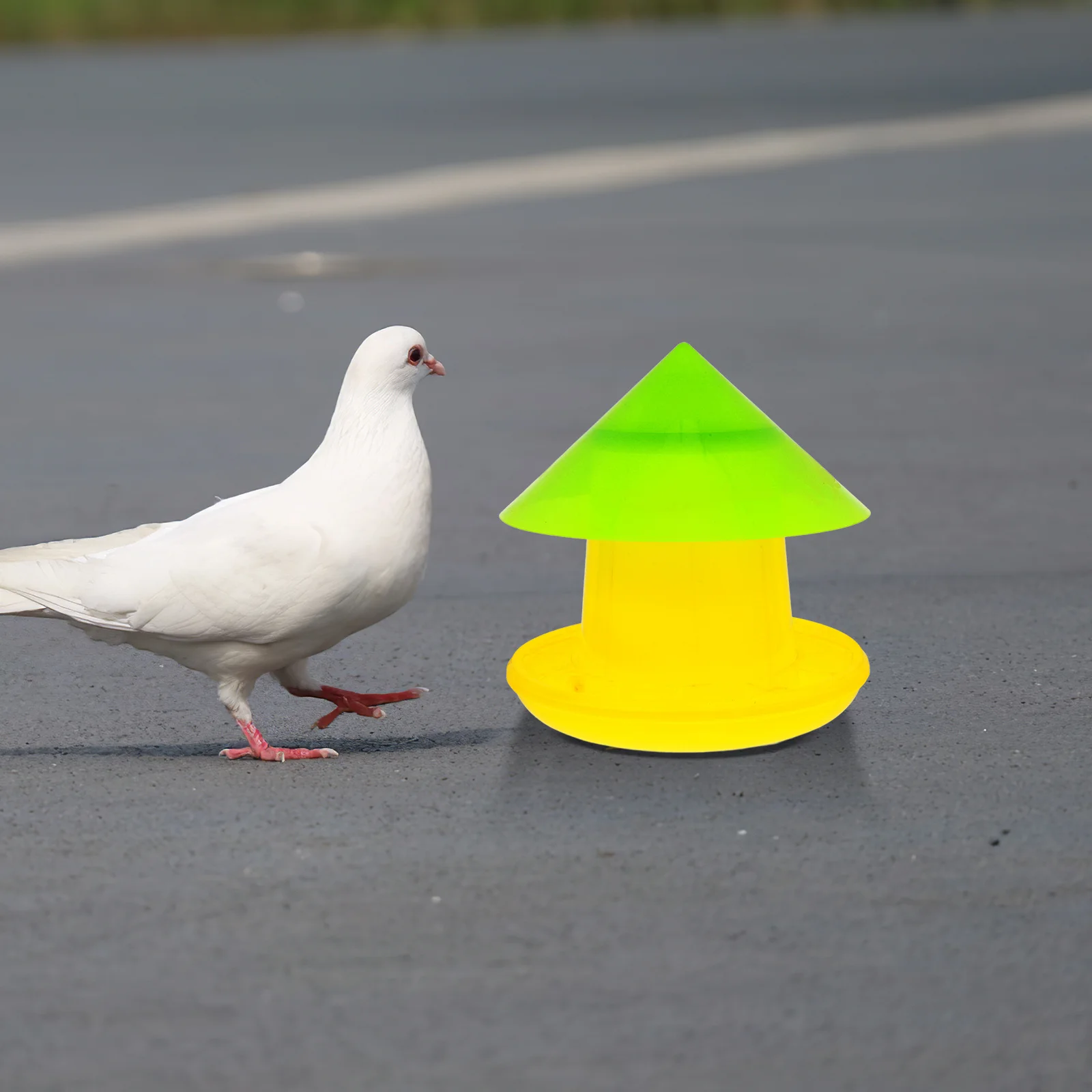 

Automatic Feeder For Pigeon Chickens Goose Poultry Chicken Food Container Durable Plastic Anti-Spill Feeding Trough Reusable