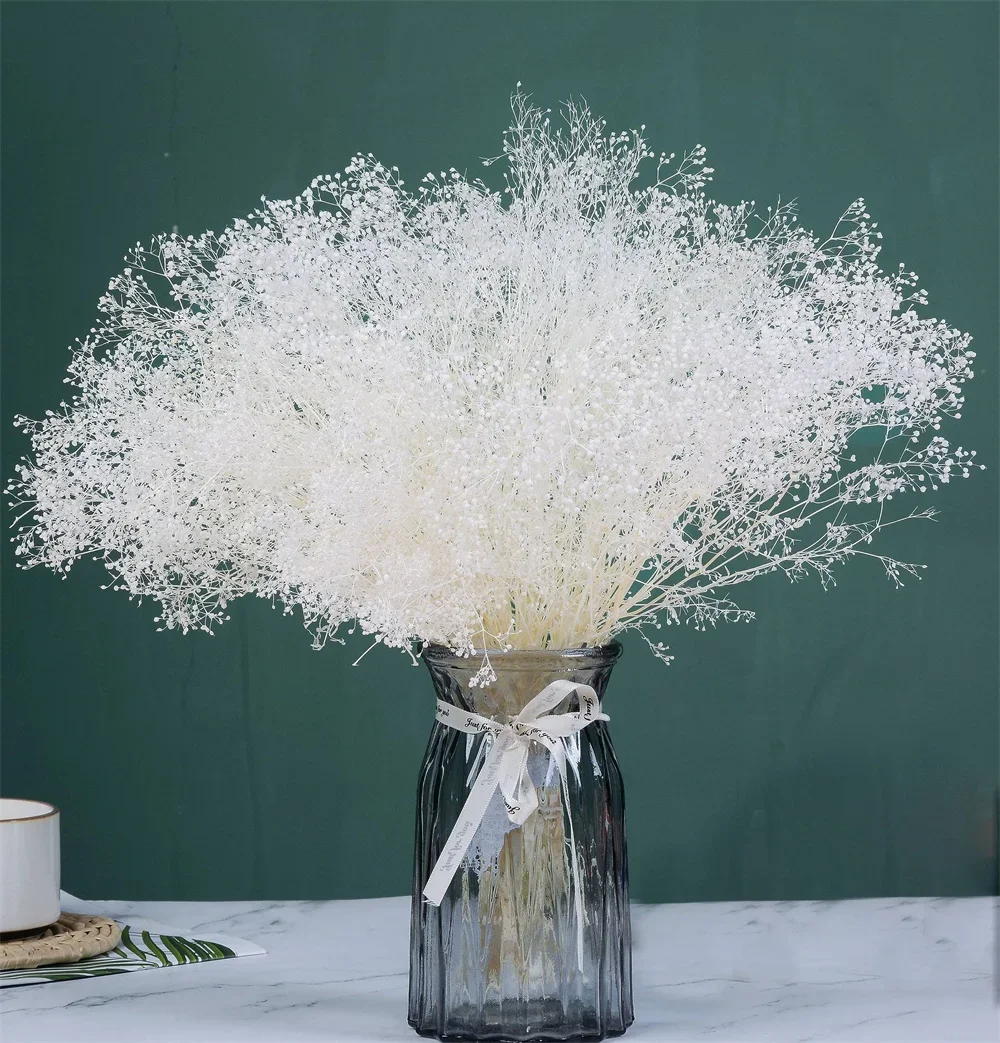 

White Dried Baby's Breath Flowers Natural Preserved Gypsophila Dry Bouquet for Wedding,DIY Crafts,Vase Decor,Floral Arrangement