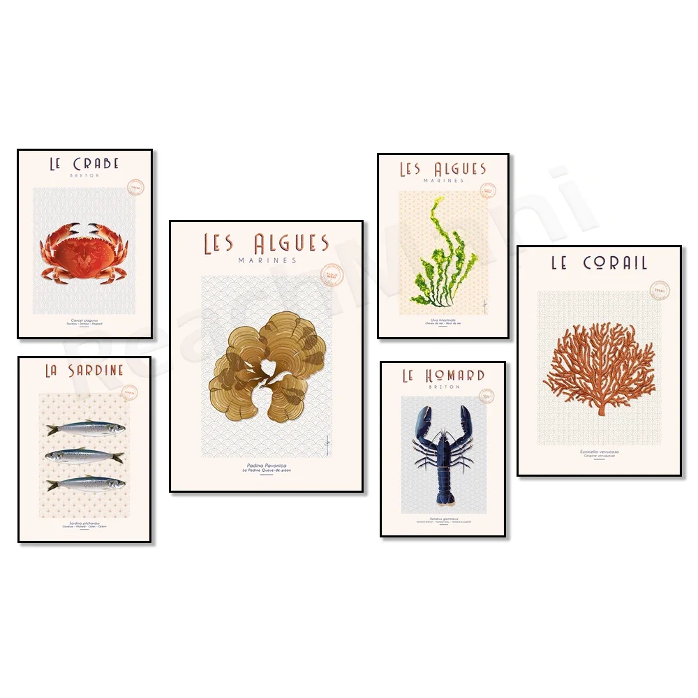 Poster La Coquille Saint-Jacques, Bretagne Sardinen, Koralle, Algenpolina, Algen Ulva, Bretonengarnelen, Krabbenwandkunst Hortense