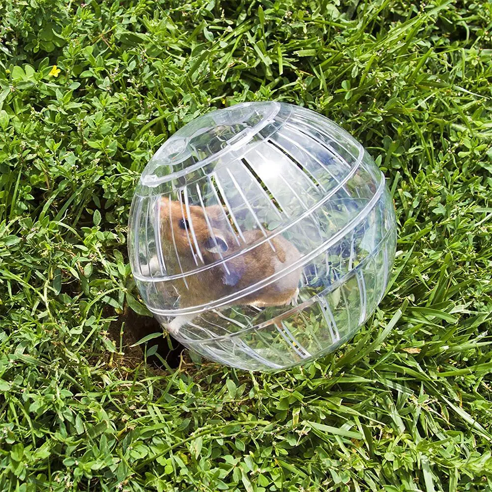 Thumbnail 2 - #8 Best Hamster Cages to Buy In 2026