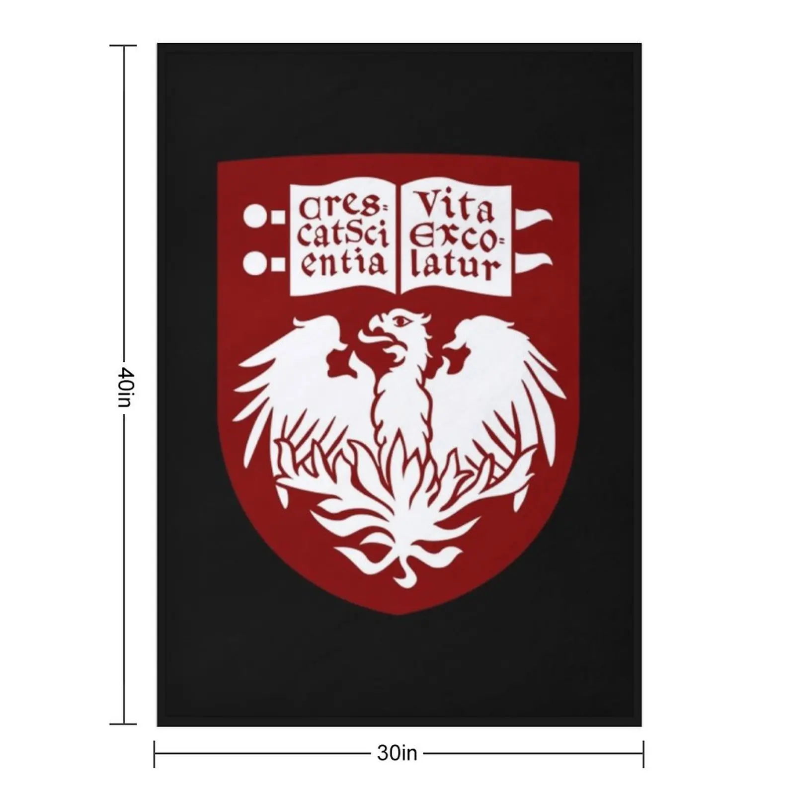 The University Of Chicago T-ShirtThe University of Chicago Throw Blanket Sofas funny gift for sofa Bed covers Blankets
