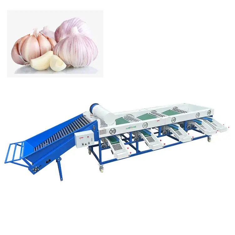 Industrial Capacity Garlic Sorting And Grading Machine Onion Size Sorting Machine For Fruit & Vegetable Industries