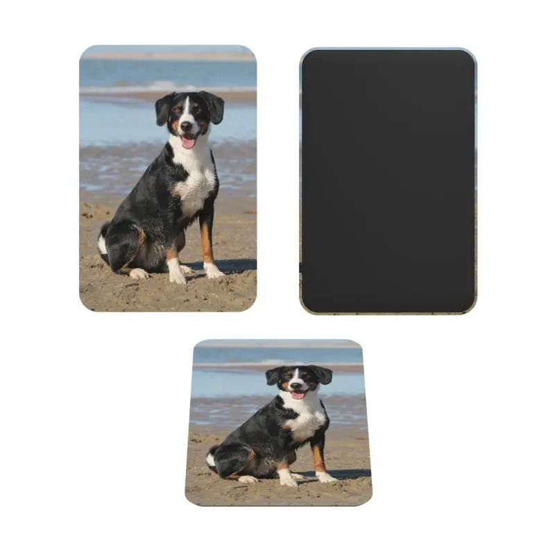DIY personalized pet photo custom acrylic refrigerator magnet, souvenirs, beautiful memories Fridge Magnets