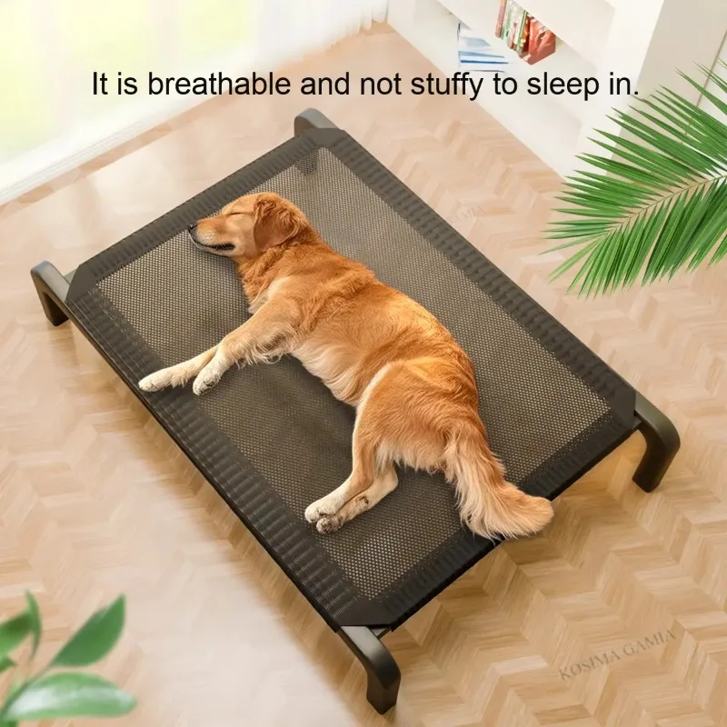 #16 Latest Washable Dog Cushions Offers