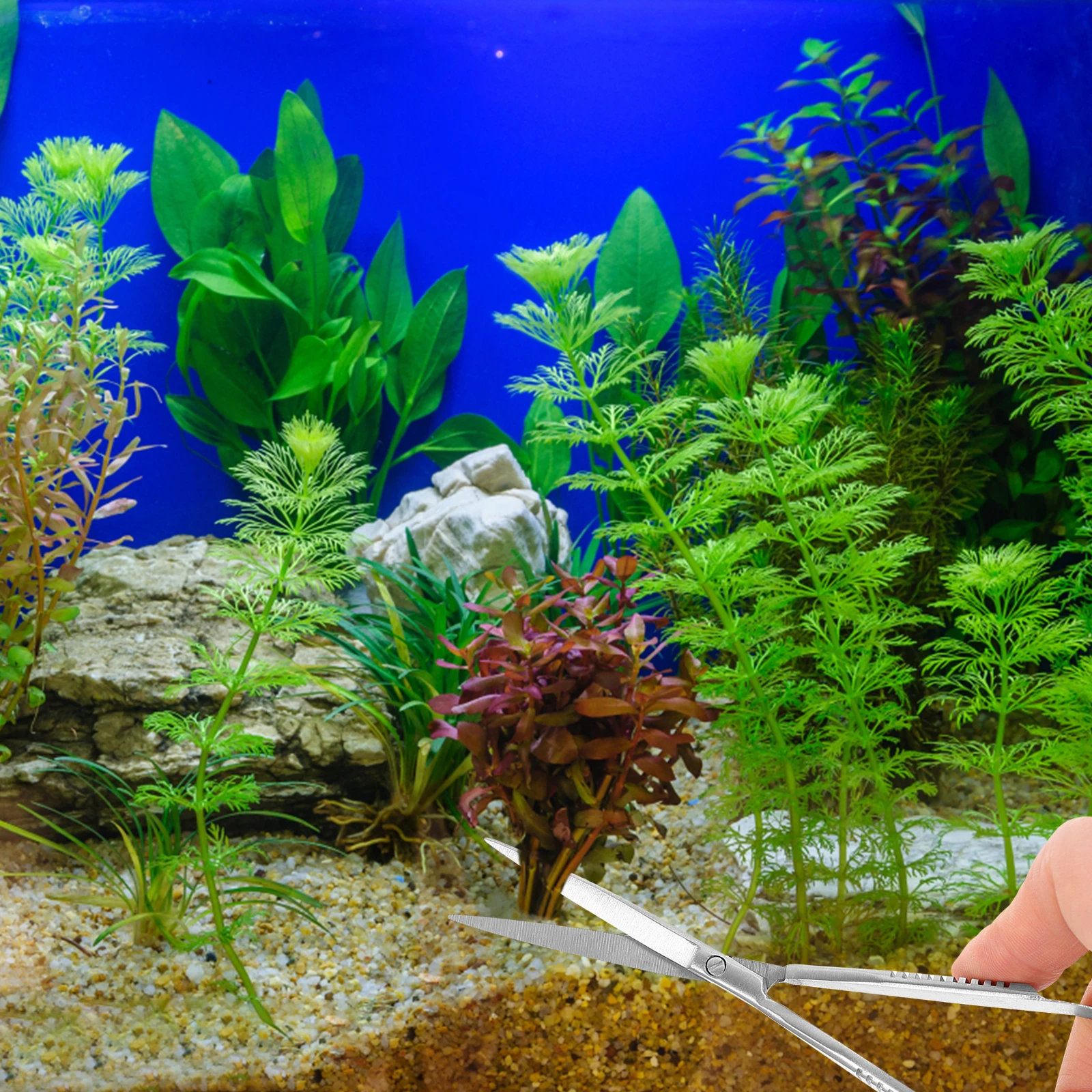 

Spring Scissors Stainless Steel Aquarium Plant Trimming Tools Portable Clipper Aqua Plant Scissor Fish Tank Decorations