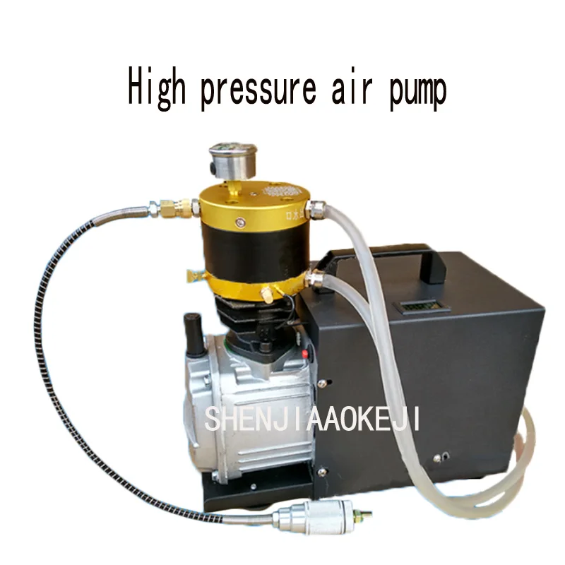 Air compressor air pump Water-cooled integrated high-pressure pump portable electric air pump 220V 50HZ