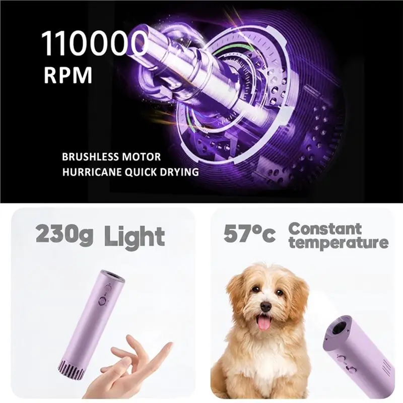 seche-cheveux-pour-chien-haute-puissance-outil-de-toilettage-pour-animaux-a-ions-negatifs-fonctionnement-silencieux-brosse-a-sechage-rapide-portable-a-suspendre-au-cou-prise-eu