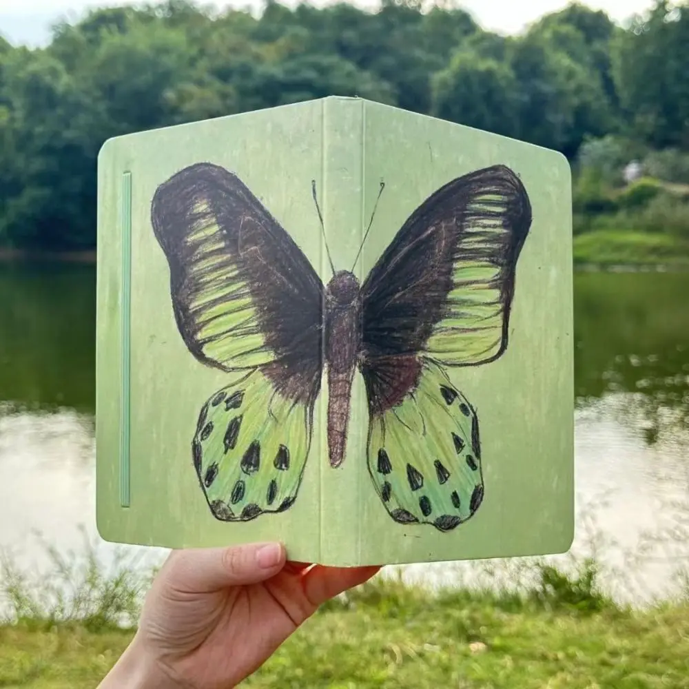 

Blank Inner A5 Notebook Mint Green Sketchbook Butterfly Notebook Vintage 80Sheets Journal Daily Planner School Supplies