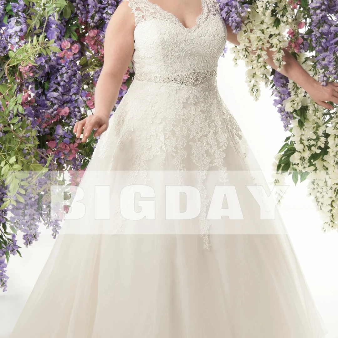 Plus Size Wedding Dresses For Woman 2024 A-Line V-Neck Tulle Lace Appliques Bridal Gowns Sweep Train Vestido De Novia Customed