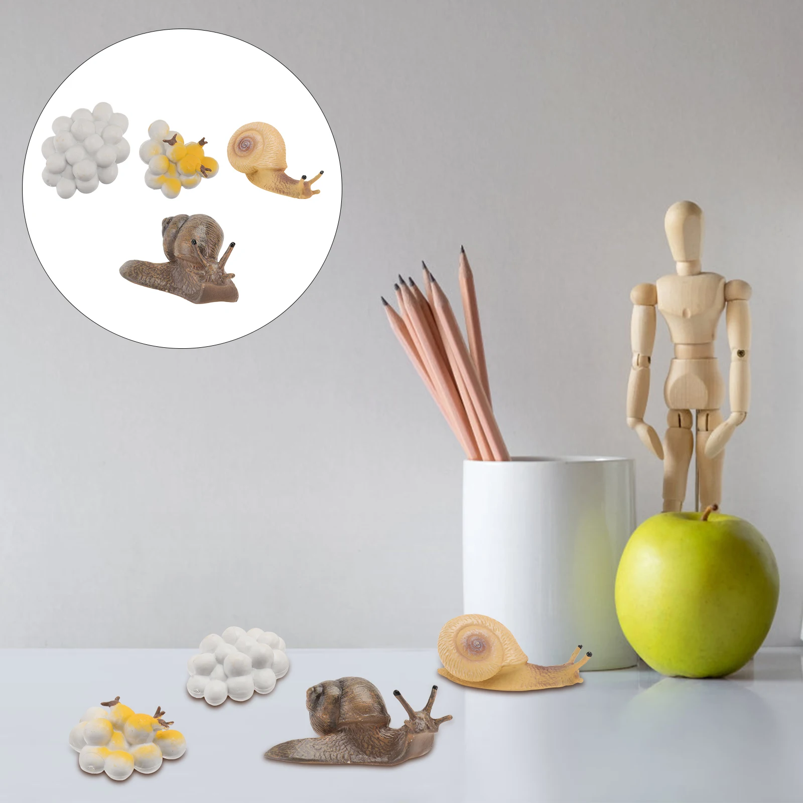Figuras de ciclo de crecimiento de caracol para niños, juguetes seguros de plástico, habilidades cognitivas, adornos de decoración del hogar, ciclo de vida, 4 Uds.