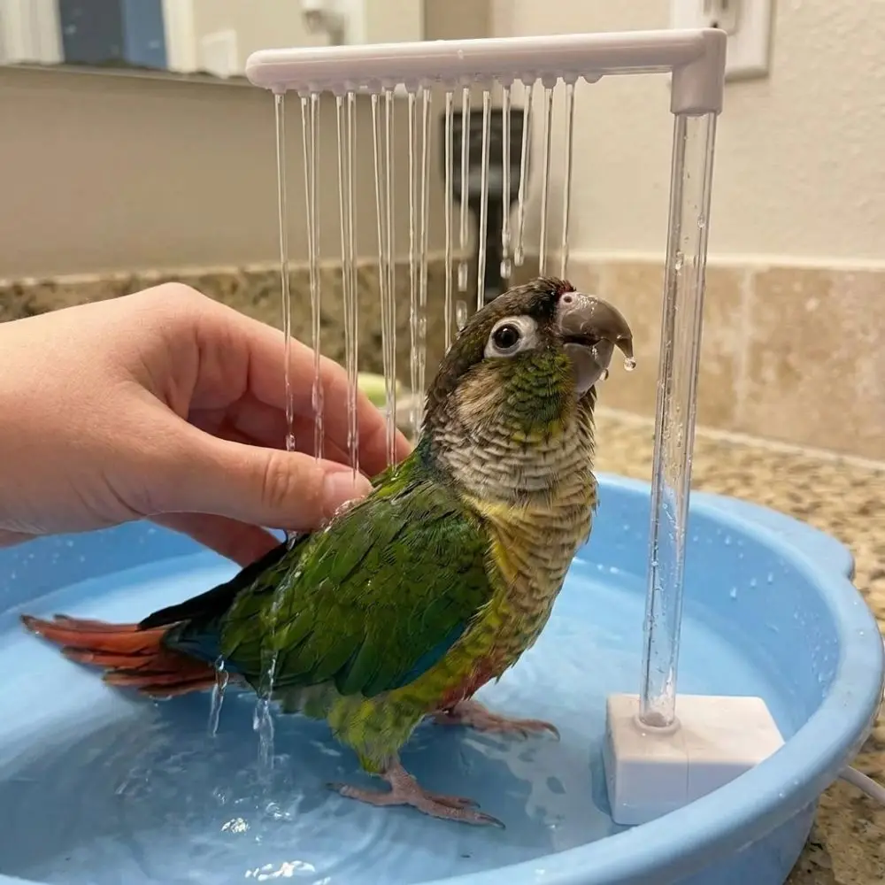 Bomba de Baño Automática para Loros, Bajo Ruido, Gran Flujo de Agua, Fuente para Baño de Aves, Ahorro de Energía, Circul