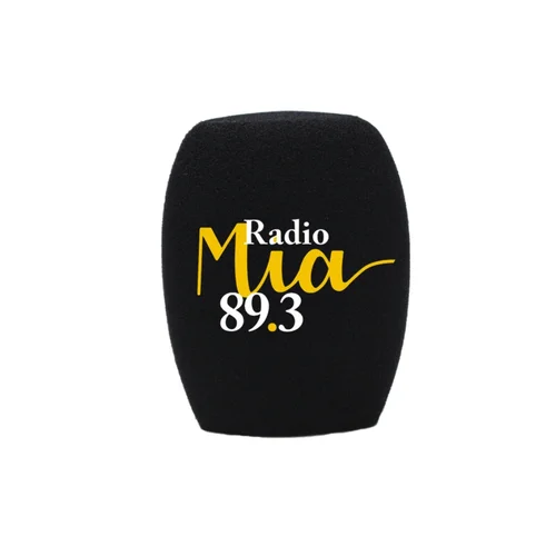 Imagen 2 del producto Personaliza el logotipo para los parabrisas de espuma con micrófono, micrófonos portátiles para entrevistas, apertura de 40 mm