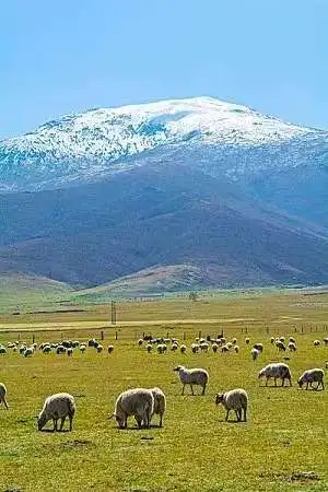 

12.3 Inch Android For LEXUS GS 200t 250 300h 350 450h GS250 GS300H GS350 2012-2017 Car Radio Multimedia Player Carplay