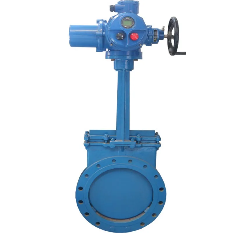 

Electric Actuator 380V Hydraulic Gate Valve 80 DN300 CF8 PN10 Flange P67 OEM ODM Modbus 4-20mA Wifi Lora Remote Control