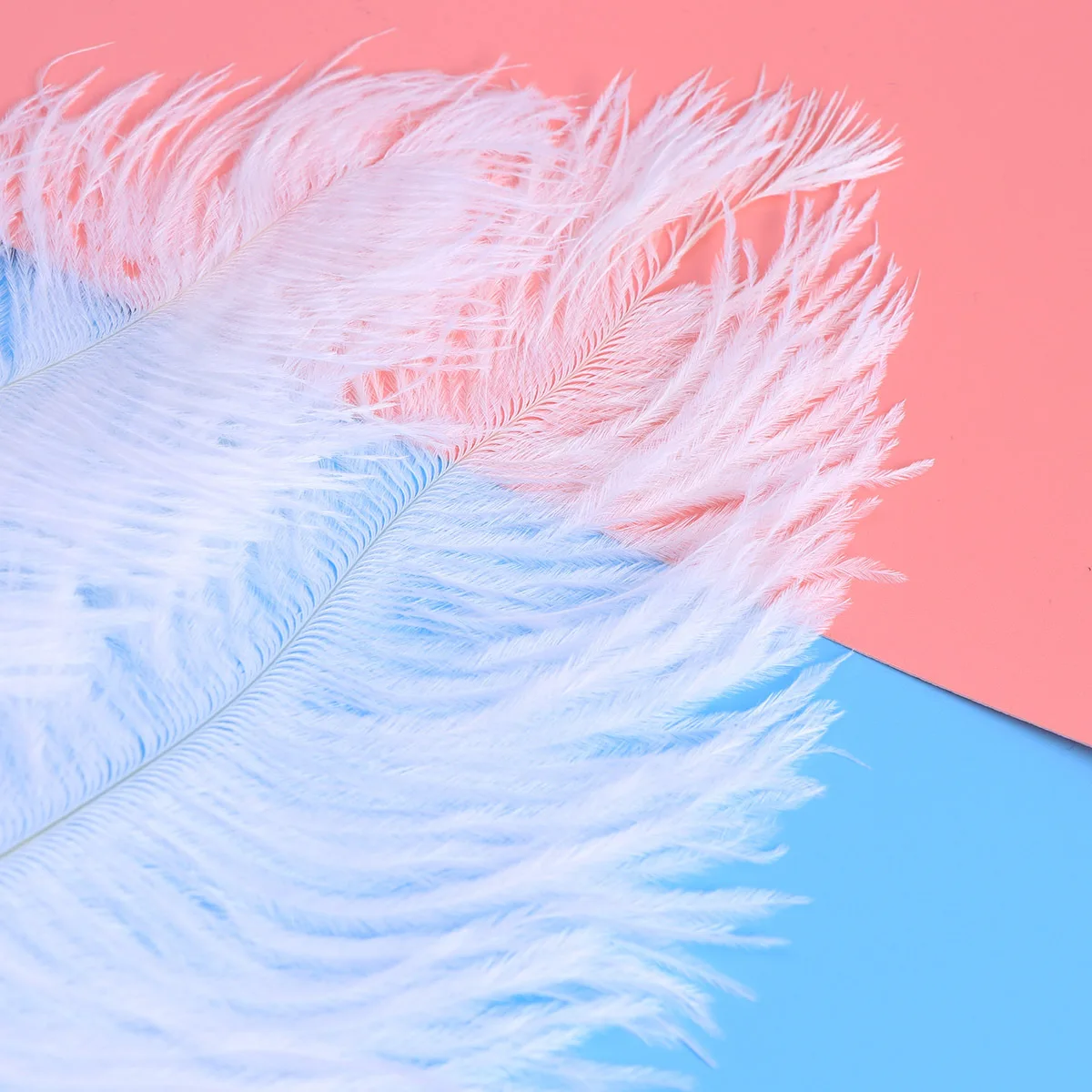 

10Pcs White Natural Ostrich Decorative for Wedding Wedding Party Centerpieces DIY Home Decoration