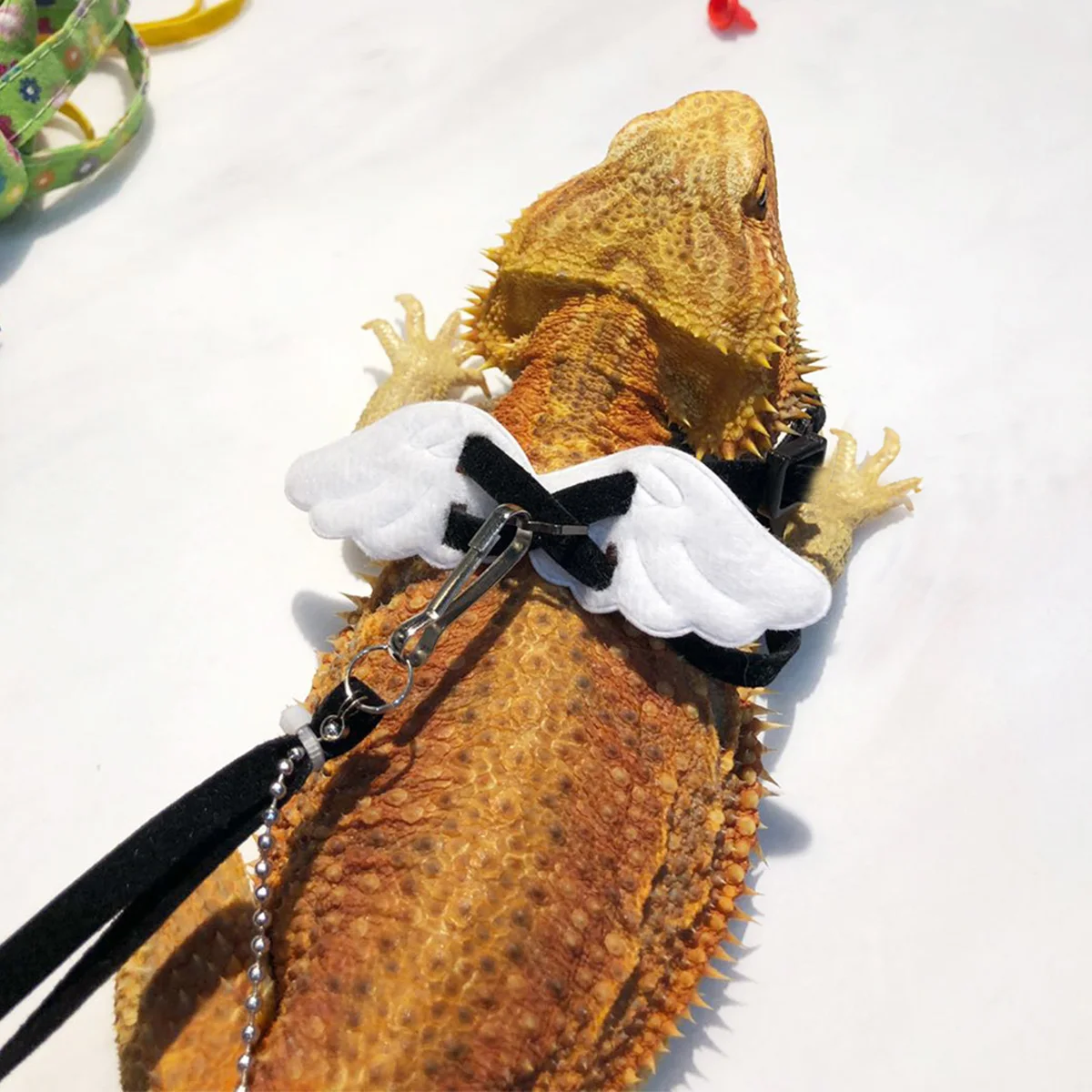 

Adjustable Blue Animal Reptile Harness Handmade Long Nylon Durable Lizard Gecko Walking Strap Small Reptile Harness