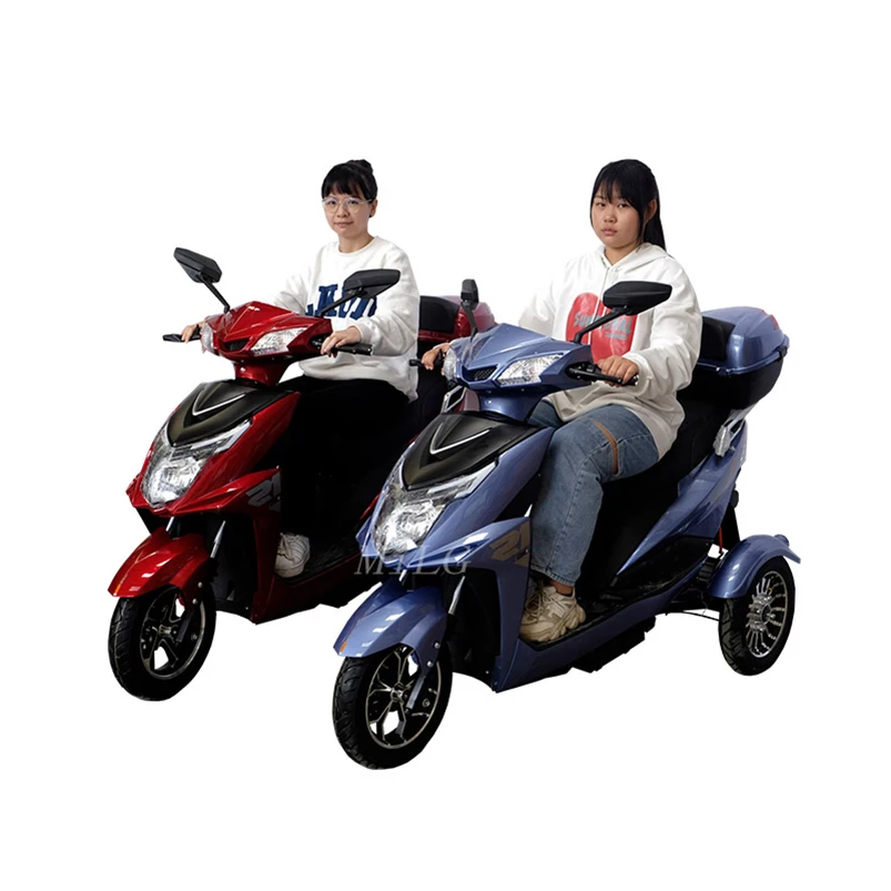 Adult Electric Tricycle 3 Wheel Electric Bicycle 60V Cargo Slingshot Motorcycle 3 Wheel 2 Wheels in  Front Disc Rear Drumcustom