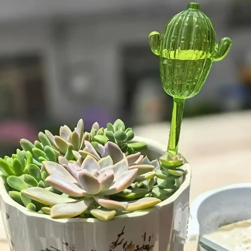 Cute Cactus Glass Plant Water Feeder Automatic Self Watering Devices Auto Plants Drip Irrigation System Unique Clear Plant Water