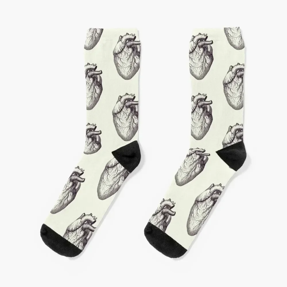 Human Heart - Vintage Medical Diagram 2 Socks Toe sports Novelties with print Socks For Girls Men's