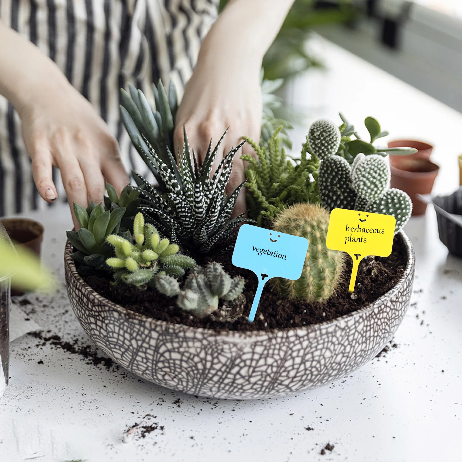 

100pcs Garden Plant Tags Color-Coded Waterproof Uv-Resistant T-Type Labels For Outdoor Nursery Gardening Accessories Plant