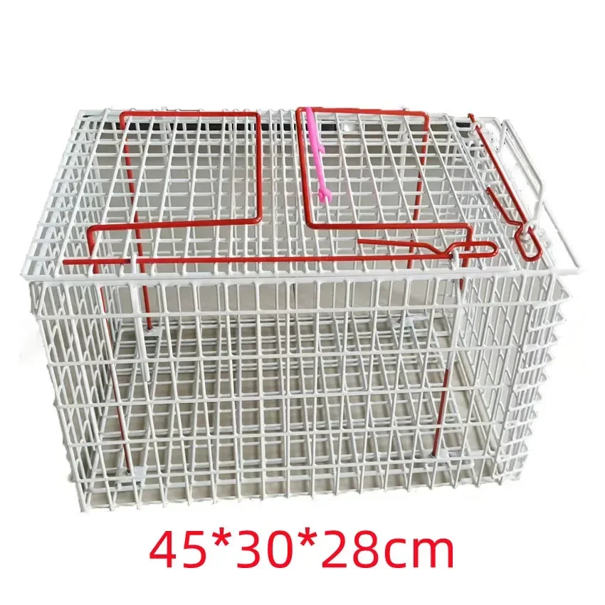 Hot salesHot dipped Galvanized pvc coated wire mesh quail cage pet cage