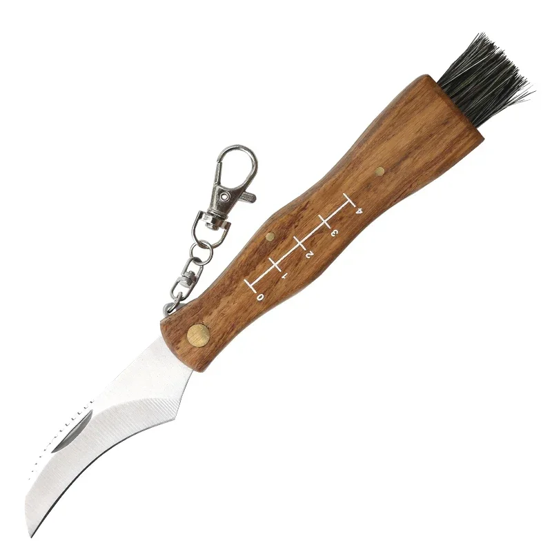 

HWZBBEN CF03 Mushroom Picking Knife Survival Knife Self Defense Folding Camping Hiking Cut Paper Fruits Brush Tools Rosewood Edc