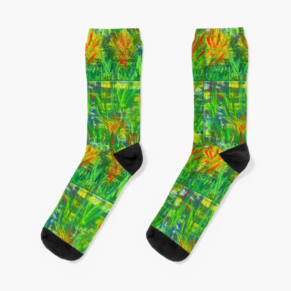 

The Swamp Socks cotton designer Men Socks Luxury Brand Women's