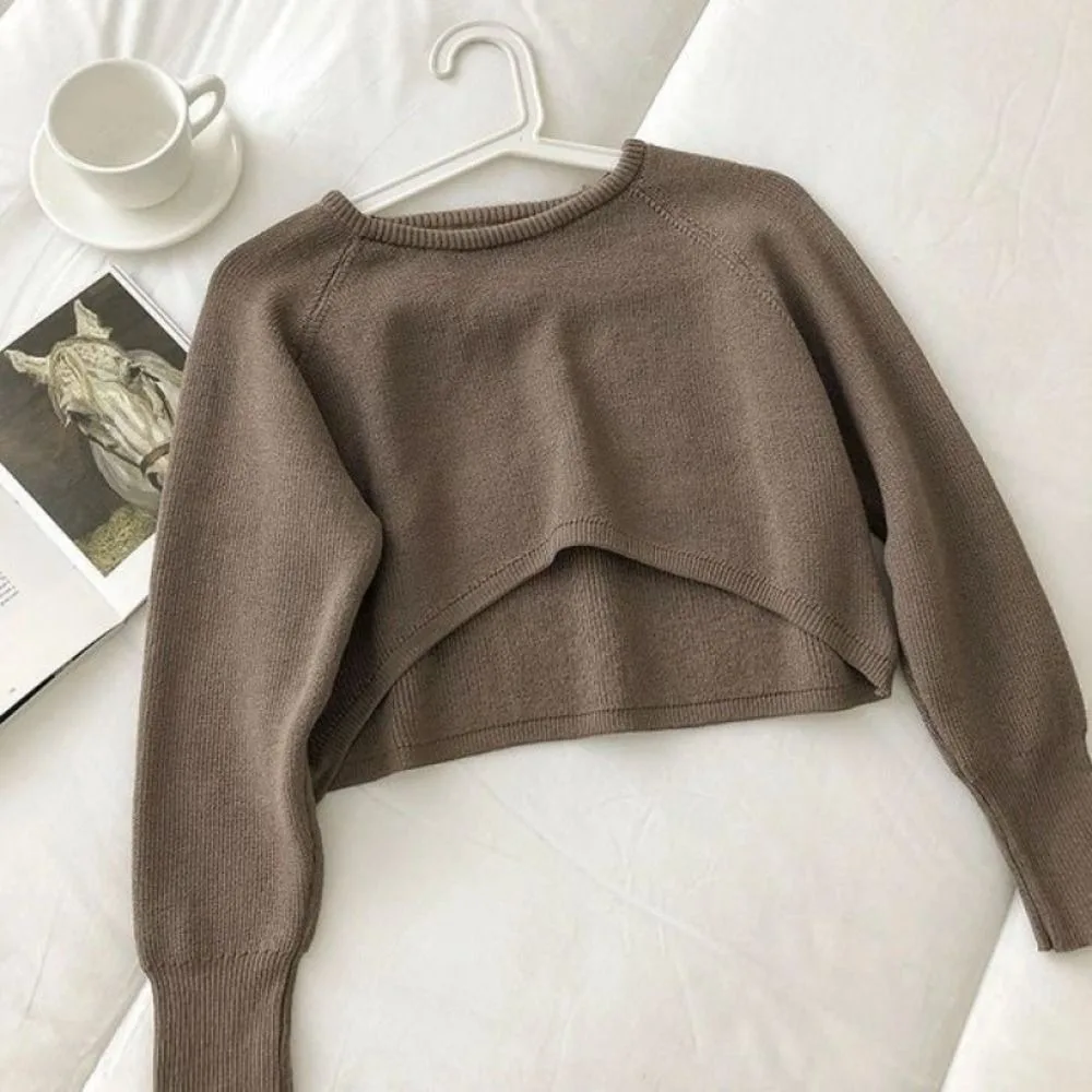 

Simple Long Sleeve Knit Short T-shirt Autumn Korean Style Crochet Knitwear Loose Sweater Cover Up Crop Top Autumn Spring