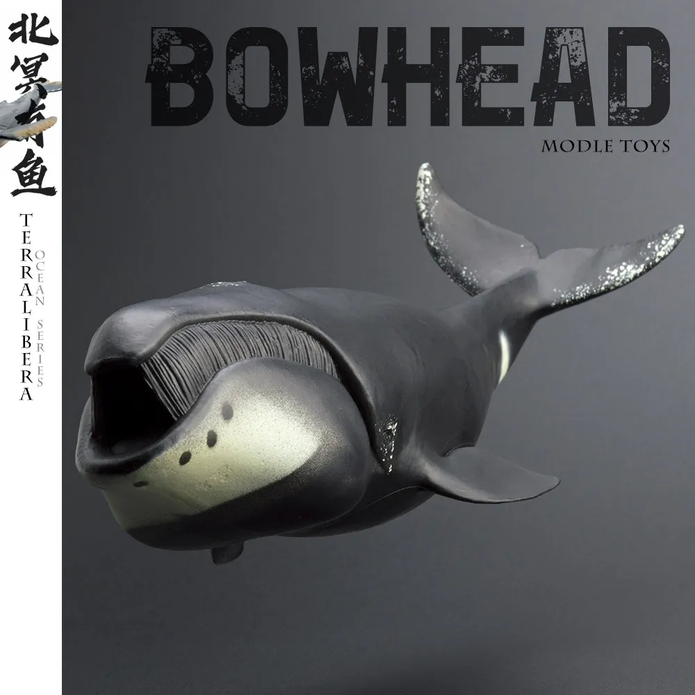 Simulation ocean animal models whale right whale bowhead whale underwater creature figurines for educational and desktop decora