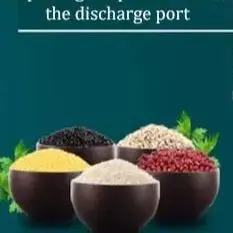 Buruimu 110V/220V I…