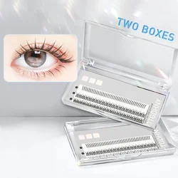 Two Boxes DIY Lashes A/M Shape Spikes Cluster Eyelash Extension FishTail Mix 3D Heat Bonded False Individual Makeup Premade Fan