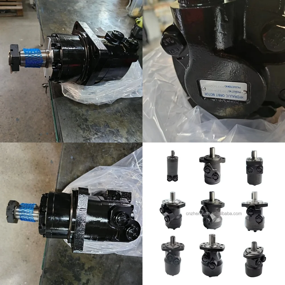 

Low Speed High Torque Hydraulic Piston Motor for CharLynn Orbit Motor OEM Models 110 112 113 104 105 109 119 129 158