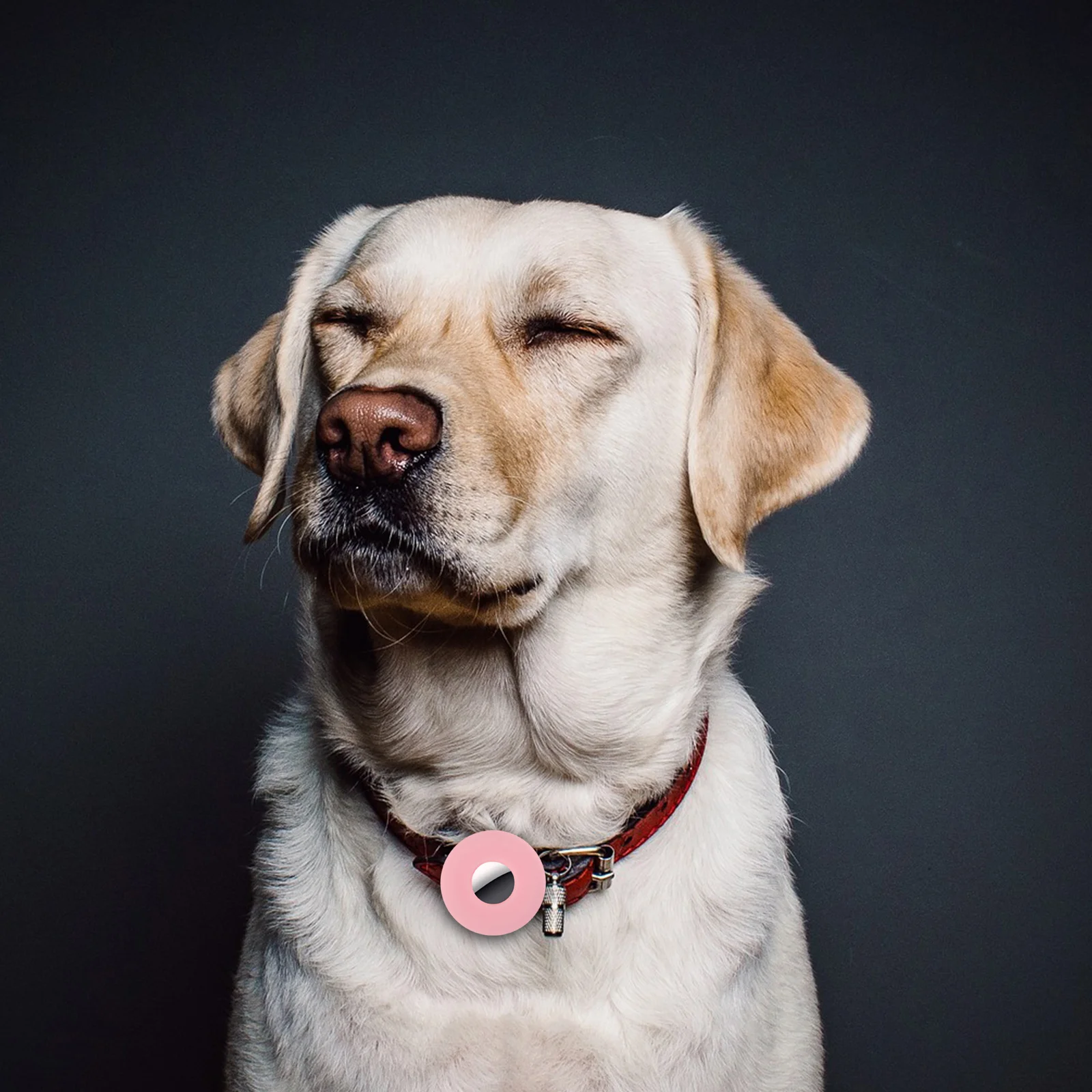 

Silicone Pet Cover Anti Lost Protective Install Remove Compatible Lightweight Soft Durable Tracer