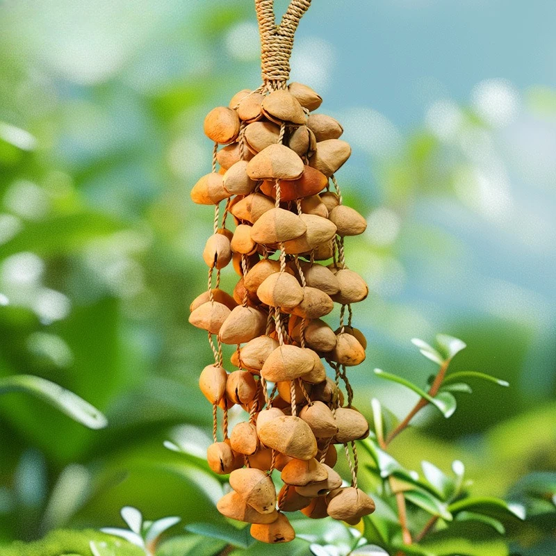 Nutshell bell hand rattle meditation bracelet music blow backing track healing sound therapy yoga