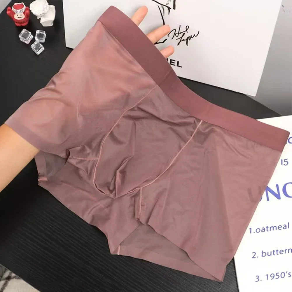 Mens See Through Boxer Men's Panties Briefs Brazilian Underwear Trunks Sexy Lingerie Shorts Breathable Underpants Men's Clothing