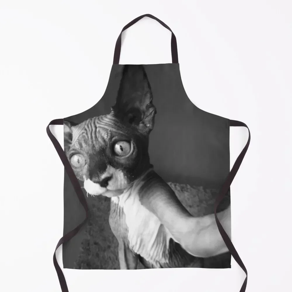 

Sphynx Pose - Hairless Cat Apron for home useful pieces Kitchens Accessories Women's Kitchen Smock for hairdressing Apron