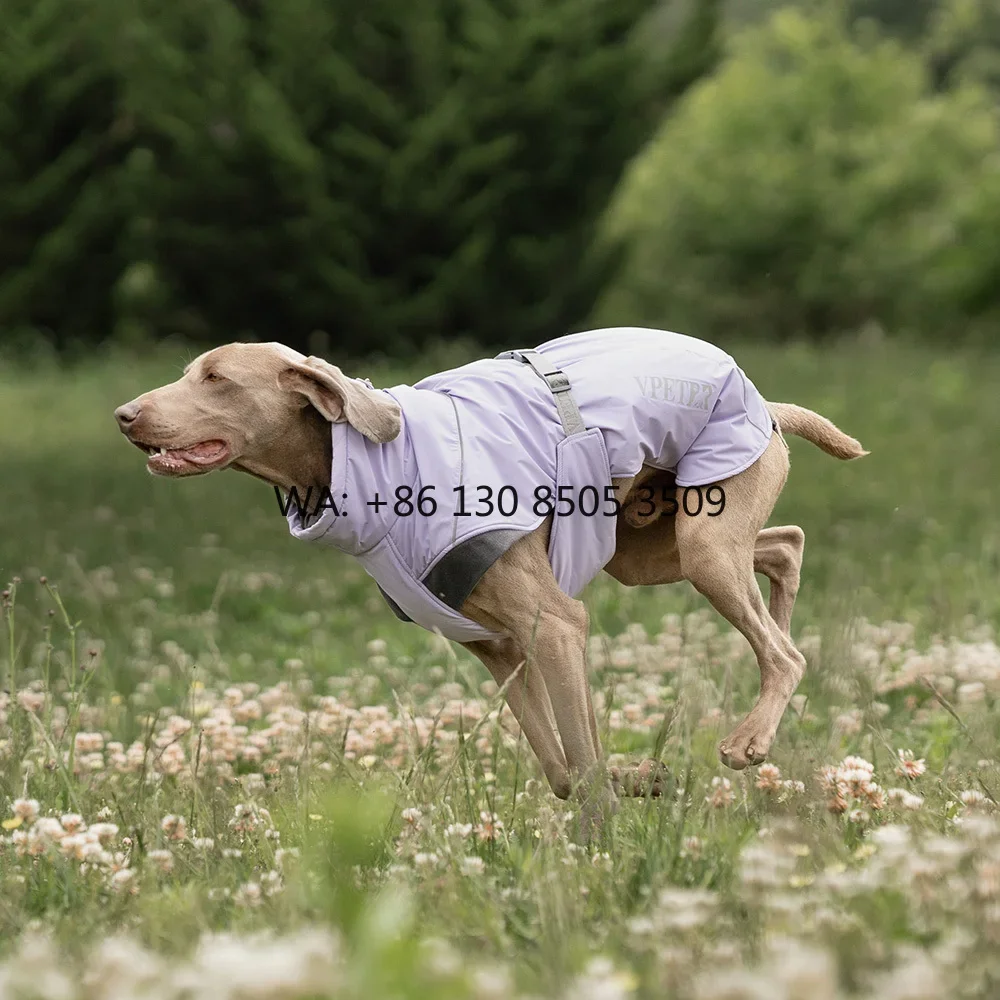 Luxury Premium Dog Clothes Harness Custom Warm Designer Pet Coat Luxury Apparel Manufacturer Reflective Logo-Wholesale
