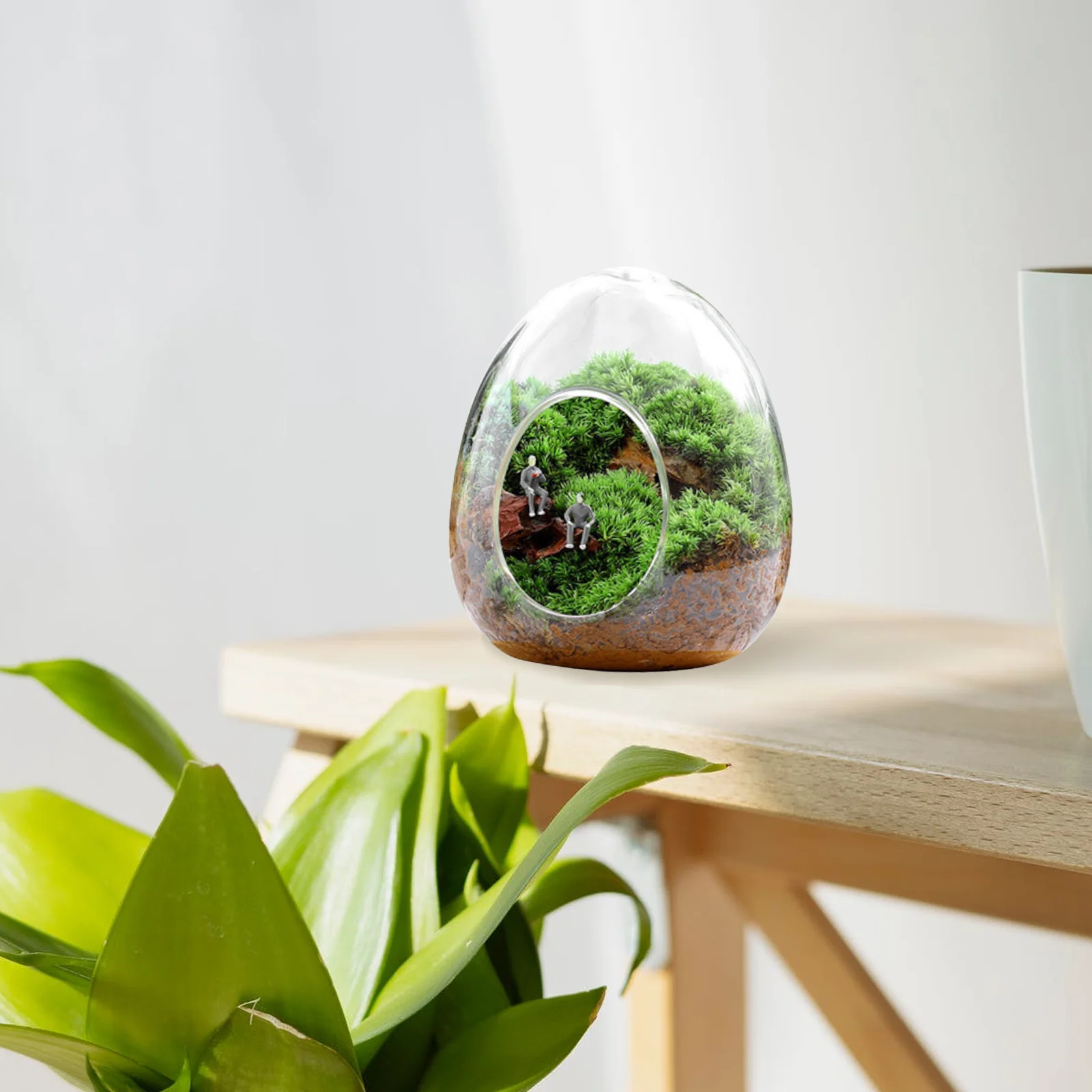 Стеклянный террариум, микропейзаж, бутылка из мха, экологическая бутылка для внутреннего сада, декоративная станция для размножения растений, сделай сам