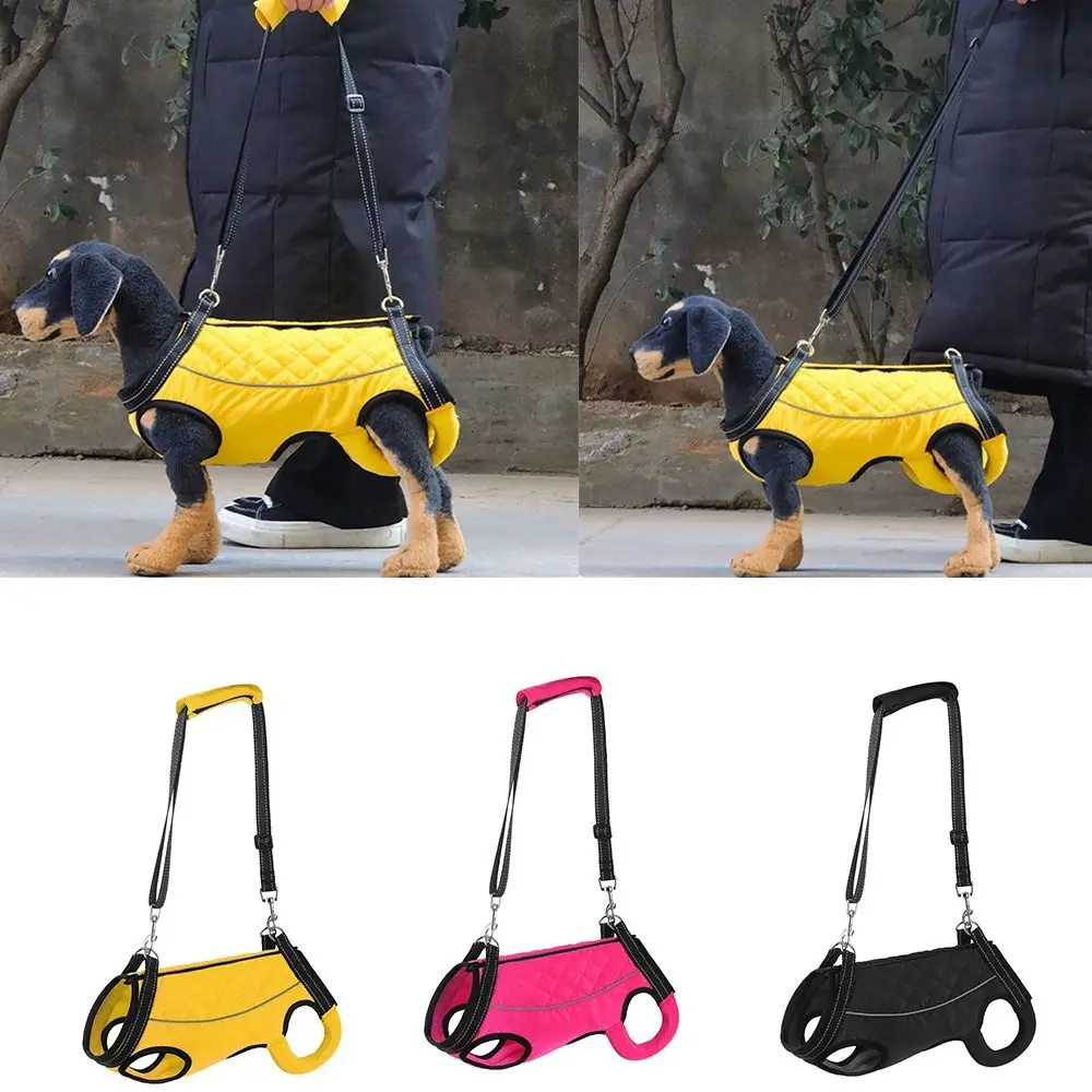 Thumbnail 3 - #11 Puppy Travel Bags Comparison Guide