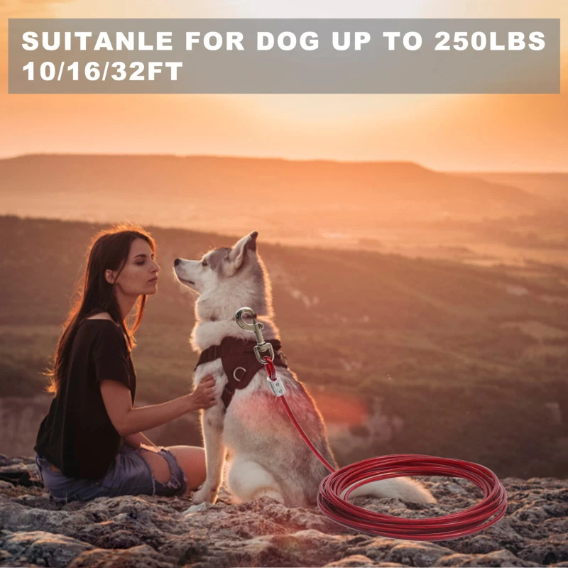 1PC Pet Leashes For Two Dogs Anti-Bite Tie Out Cable Outdoor Steel Wire Dog Leash Double Head Leash For Large Dogs