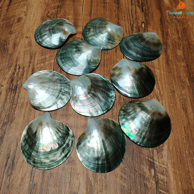 Black Mother of Pearl Shells Polished Pinctada Margarilifera Sea Shell Handmade Creative DIY Jewelry Beads Caviar Container