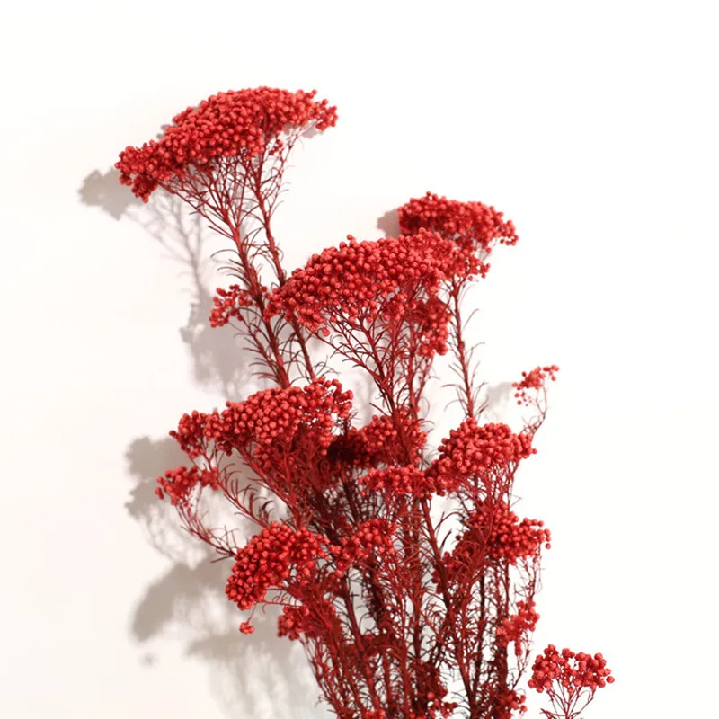 50g Eternal Dry Rice Flower Millet Flowers Heads DIY Home Wedding Arrangement Party Decor Natural Centerpieces Decoration